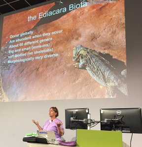 M Droser seminar