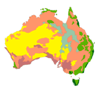 ausveg