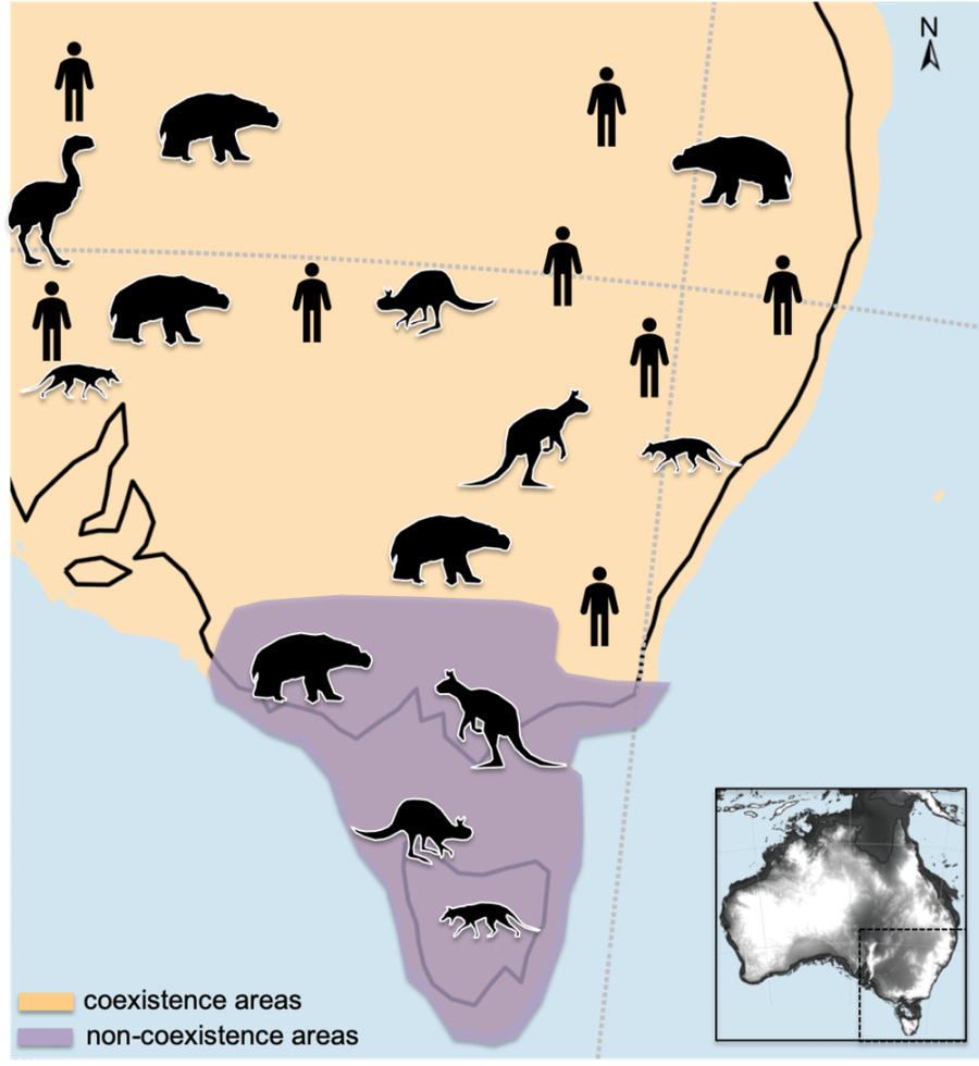 Megafauna SE Aus infographic 1