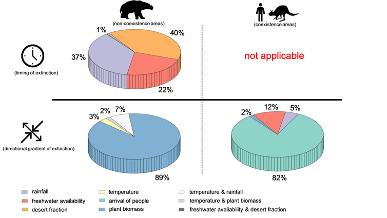 Megafauna SE Aus infographic 2