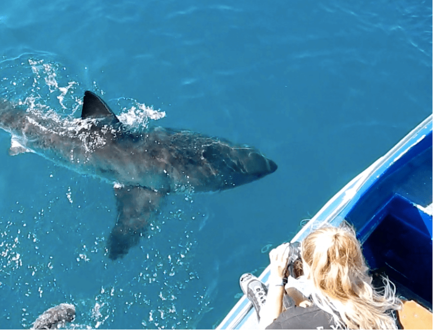 A picture containing water, outdoor, swimming, pool

Description automatically generated