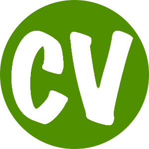 curriculum vitae
