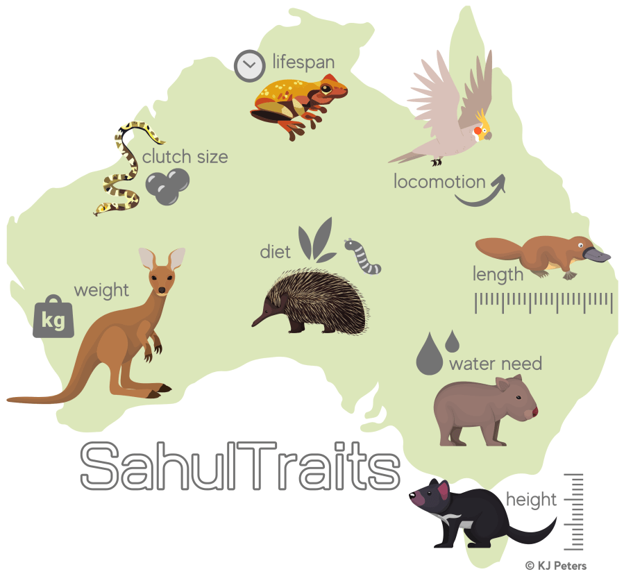 SahulTraits infographic